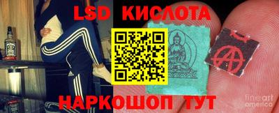 Альфа ПВП Камышлов