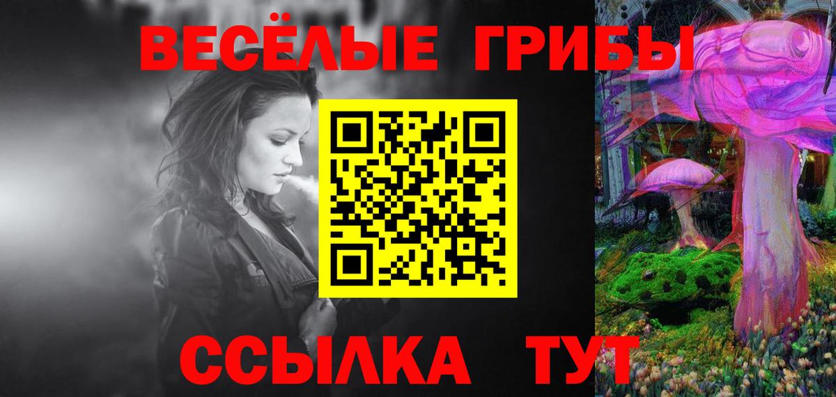 Галлюциногенные грибы GOLDEN TEACHER  Галлюциногенные грибы MAGIC MUSHROOMS  Кулебаки  Вход с VPN 